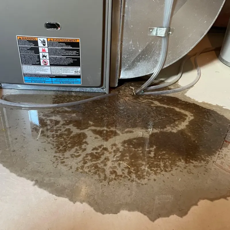 Appliance Leak Cleanup in Lenoir County, NC