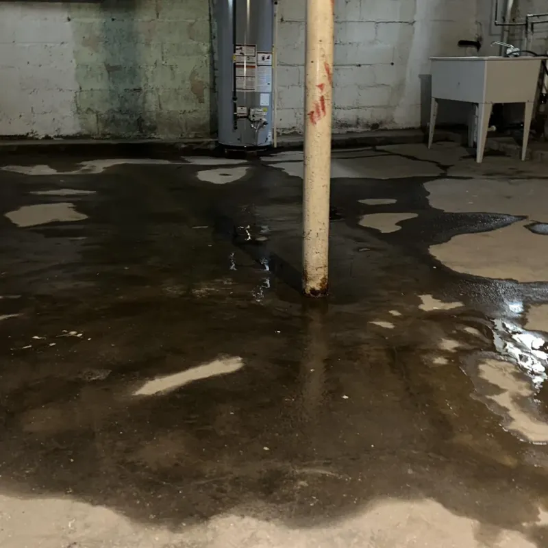 Emergency Water Extraction And Removal in Lenoir County, NC